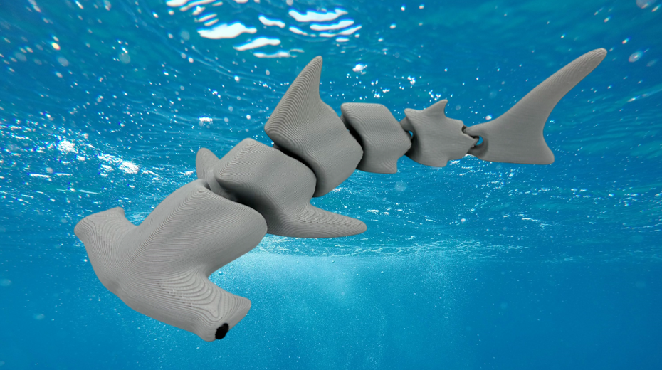 Articulated Hammerhead Shark