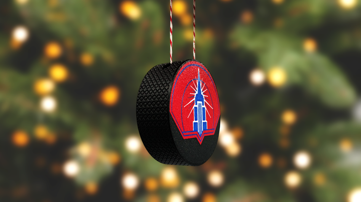 Heated Rivalry Inspired New York Admirals Hockey Puck Ornament