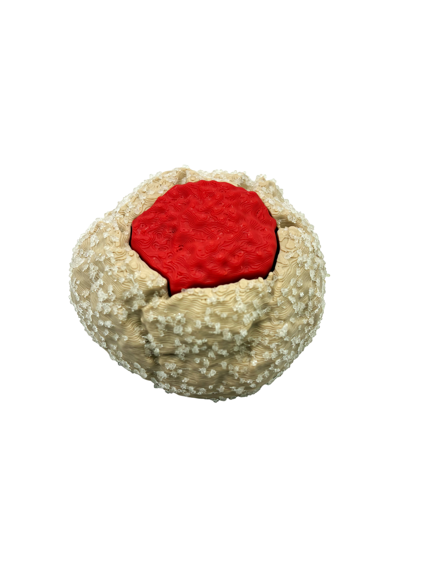 Raspberry Thumbprint Cookie Fidget Clicker