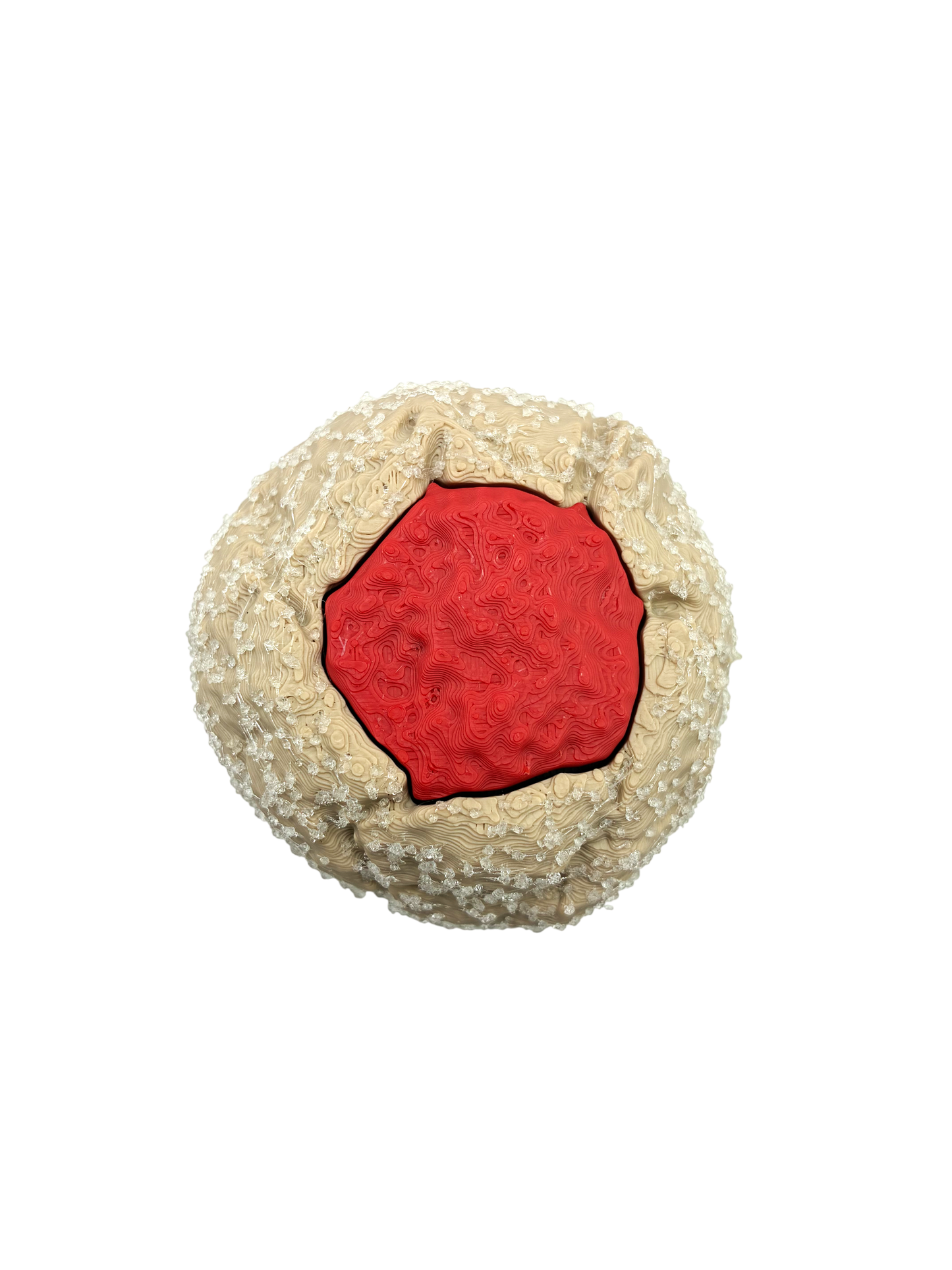 Raspberry Thumbprint Cookie Fidget Clicker